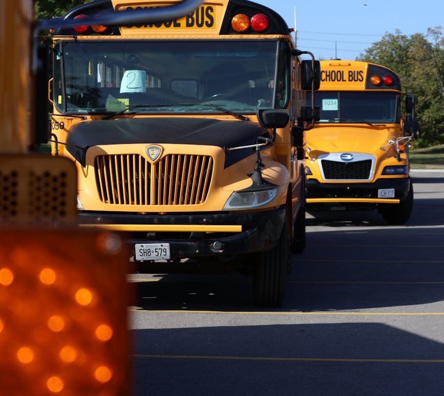 yellow school buses in parking lot in daylight