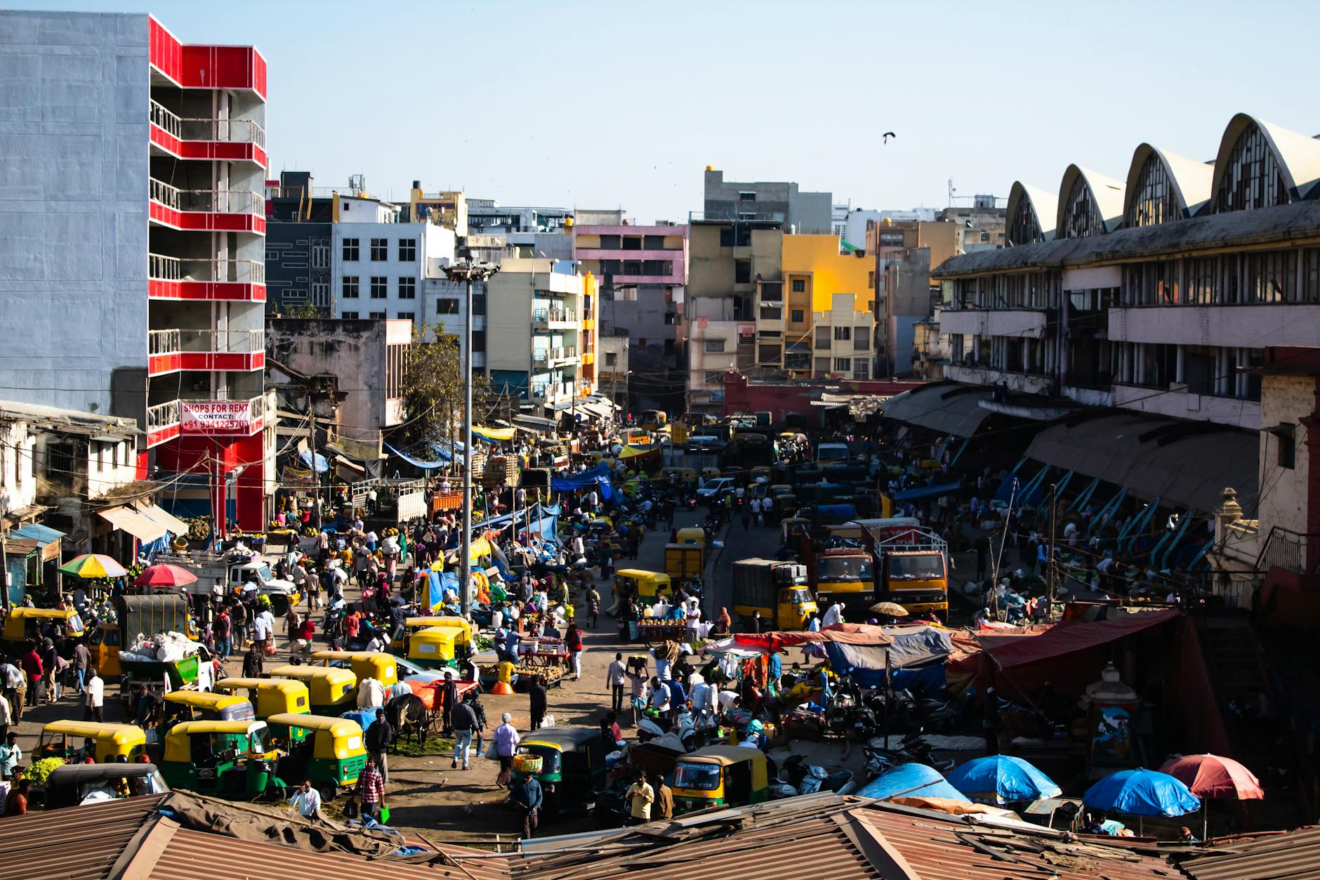 tuktuks in city