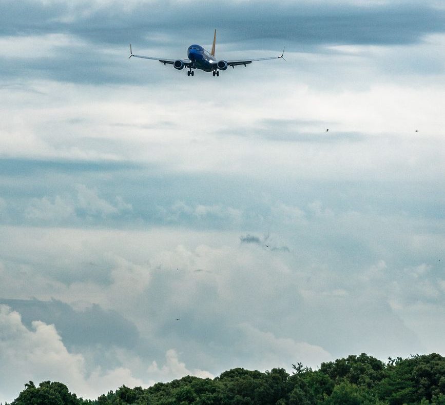 commercial airplane landing over green forest